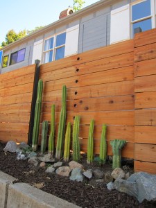 This bit of fence, with a neat row of cactuses along it, reminded me of the cactus fence at frida kahlo's house in Mexico City