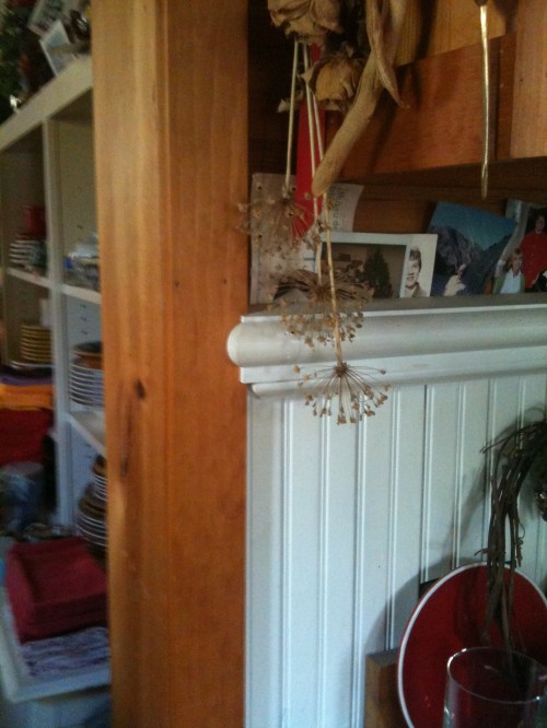 wainscoting and elegant trim