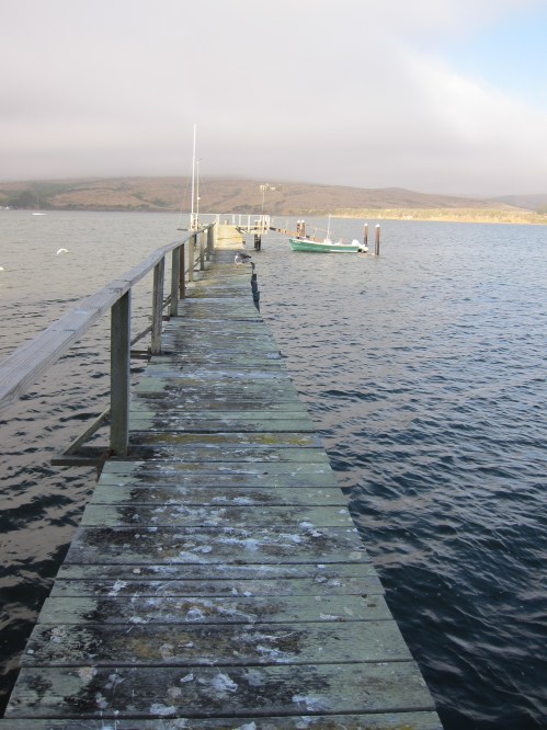 view out from the house