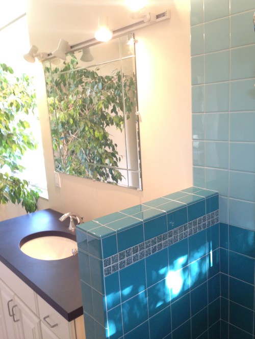 Tile Sink and Ficus
