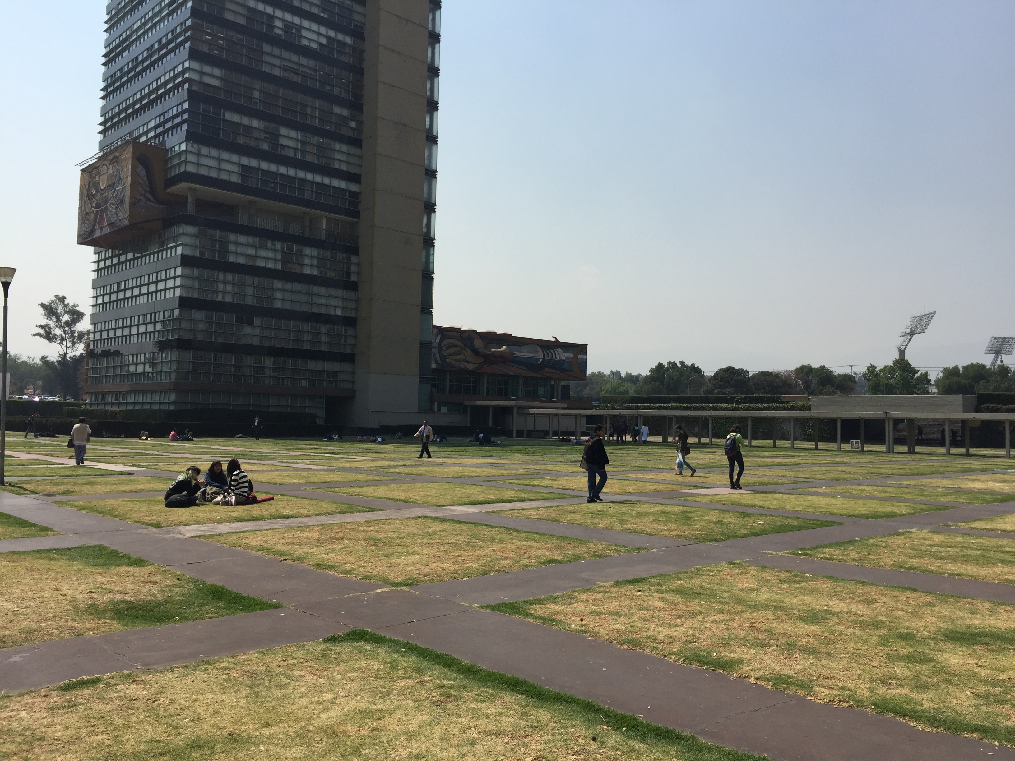 Grid of lawn squares and concrete paths