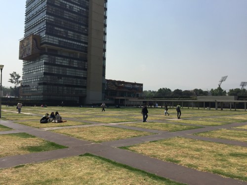 Grid of lawn squares and concrete paths