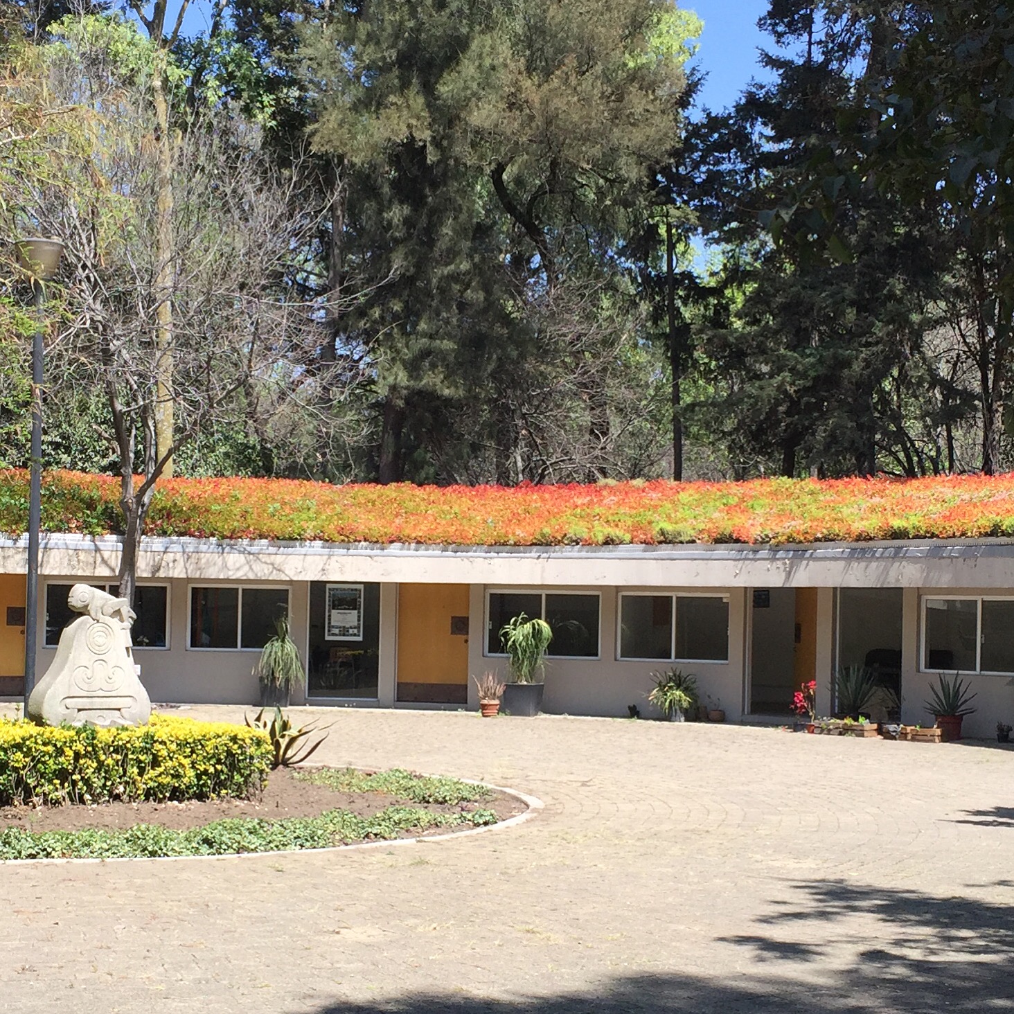Living Roof - Jardin Botanico, Chapultapec
