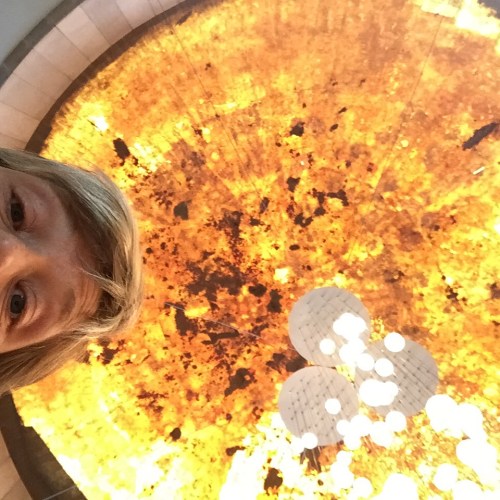 Amber Dome- Museo de Arte Moderno de Mexico