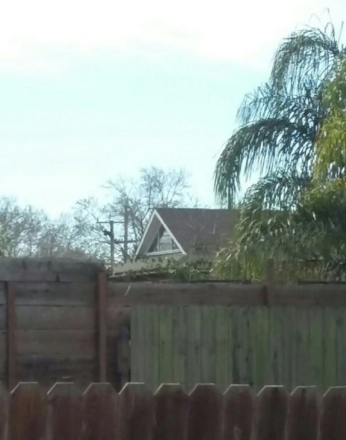 North Oakland Addition East Window